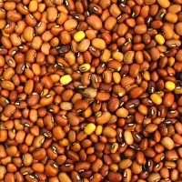 Red Caloona Cow Peas
