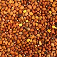 Red Caloona Cow Peas