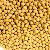 White Peas