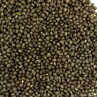 Black Regurs