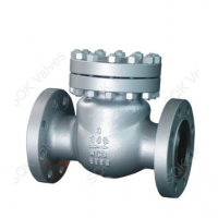 Cast Steel Check Valves Bolted Bonne