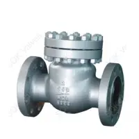 Cast Steel Check Valves Bolted Bonne