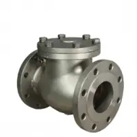 Check Valve