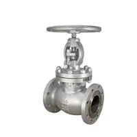 Globe Valve