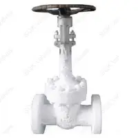 SQK Cryogenic Gate Valve