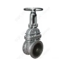 A351 CF3 Cast Stainless Steel Gate Valve