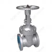 A351 CF3M Cast Stainless Steel Gate Valve