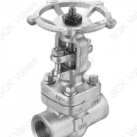 API 602 Gate Valve