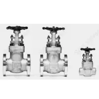 SQK A182 F304L Stainless Steel Gate Valve