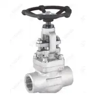 A182 F316L Stainless Steel Gate Valve