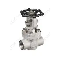A182 F321 Stainless Steel Gate Valve