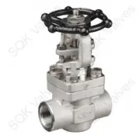 A182 F321H Stainless Steel Gate Valve