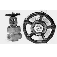 A182 F51 Duplex Stainless Steel Gate Valve