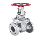 Gate Valve