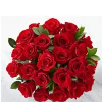 Rose (Rosa)