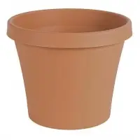 Flower Pots