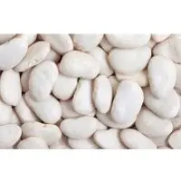 Large beans