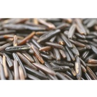 Wild rice