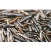 Wild rice