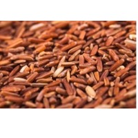 Red rice
