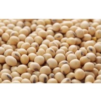 Soybeans