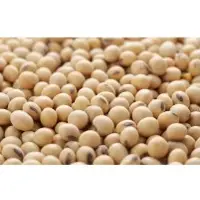 Soybeans