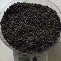 Black Pepper Whole Grade 550gl Machine Cleaned