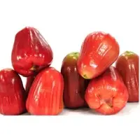 Rose Apple