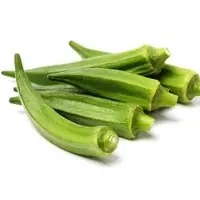 Okra or Lady Finger