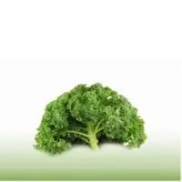 Broccoli or Kale Leaf