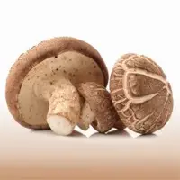 Shitake Mushroom