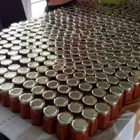 Spicy Habanero Chilli Sauce
