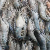 Fresh Prawn