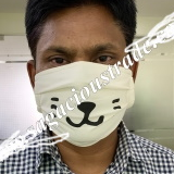 Reusable Mask