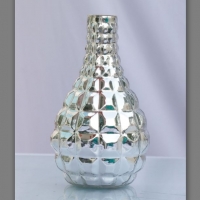 Glass Flower Vase