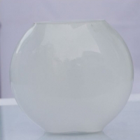 Glass Flower Vase