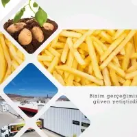 Frozen French Fries