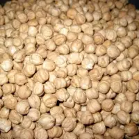 Chickpeas