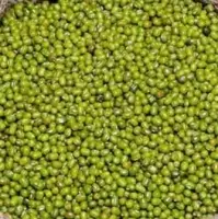 Green Mong