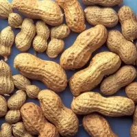 Blanched Peanuts