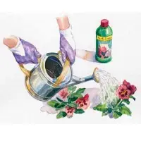 Organic liquied fertilizer