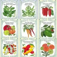 Vegetables plantain seeds