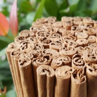 Ceylon Cinnamon