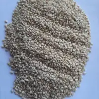 Sesame Seed-Humera