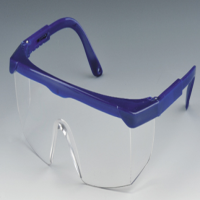 Safety Glasses