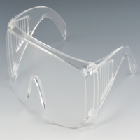 Safety Glass