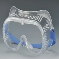 Goggle