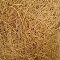 Coir Fibre