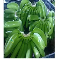 Cavendish Banana