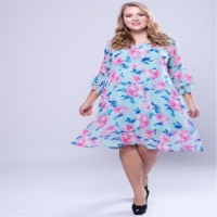 Curve Flutter Sleeve Dress